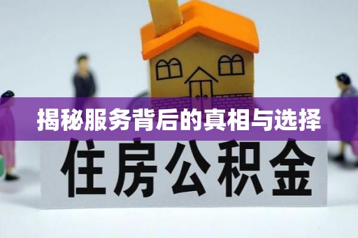 鹿寨揭秘服务背后的真相与选择
