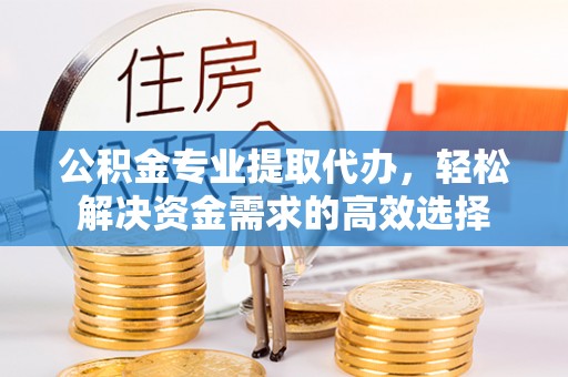 鹿寨公积金专业提取代办，轻松解决资金需求的高效选择