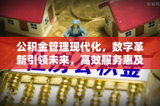 鹿寨公积金管理现代化，数字革新引领未来，高效服务惠及民生