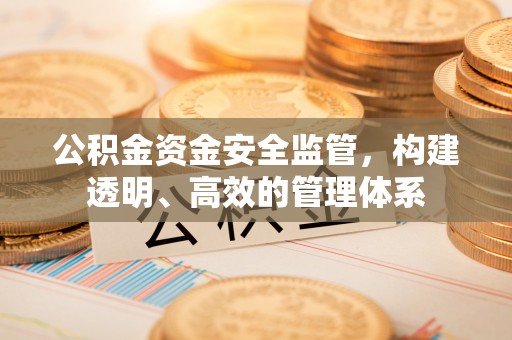 鹿寨公积金资金安全监管，构建透明、高效的管理体系