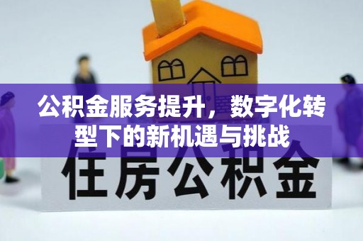 鹿寨公积金服务提升，数字化转型下的新机遇与挑战