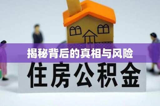 鹿寨揭秘背后的真相与风险