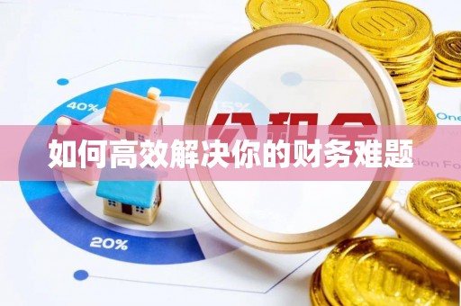 鹿寨如何高效解决你的财务难题