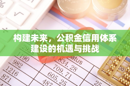 鹿寨构建未来，公积金信用体系建设的机遇与挑战