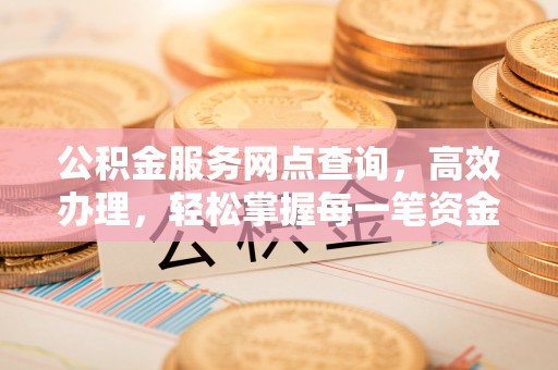 鹿寨公积金服务网点查询，高效办理，轻松掌握每一笔资金动态