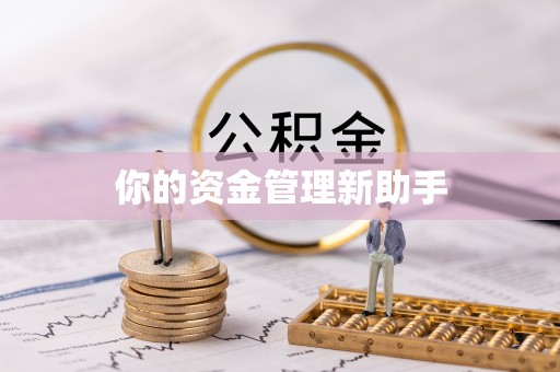 鹿寨你的资金管理新助手