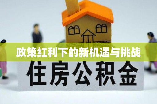 鹿寨政策红利下的新机遇与挑战