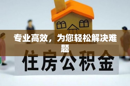 鹿寨专业高效，为您轻松解决难题