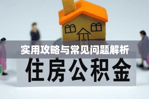 鹿寨实用攻略与常见问题解析
