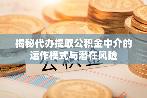 鹿寨揭秘代办提取公积金中介的运作模式与潜在风险