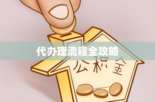 鹿寨代办理流程全攻略