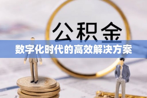 鹿寨数字化时代的高效解决方案