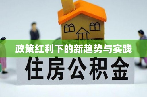 鹿寨政策红利下的新趋势与实践