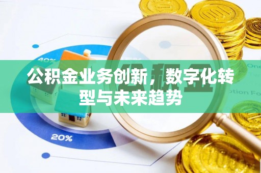鹿寨公积金业务创新，数字化转型与未来趋势