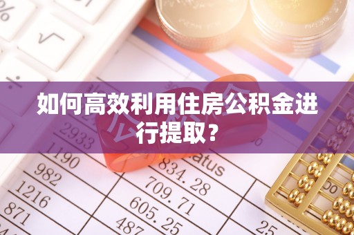 鹿寨如何高效利用住房公积金进行提取？