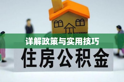 鹿寨详解政策与实用技巧