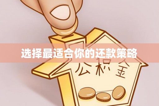 鹿寨选择最适合你的还款策略