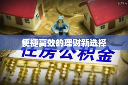 鹿寨便捷高效的理财新选择