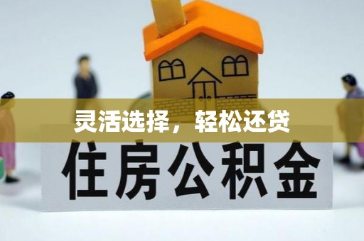 鹿寨灵活选择，轻松还贷