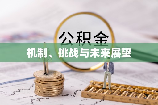 鹿寨机制、挑战与未来展望